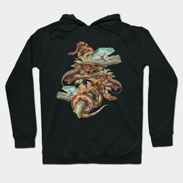 Reptilian Clan Hoodie by Noveltiko